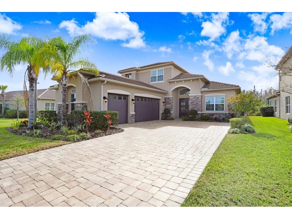 30758 Chesapeake Bay Drive Wesley Chapel FL 33543 T3505707 image1