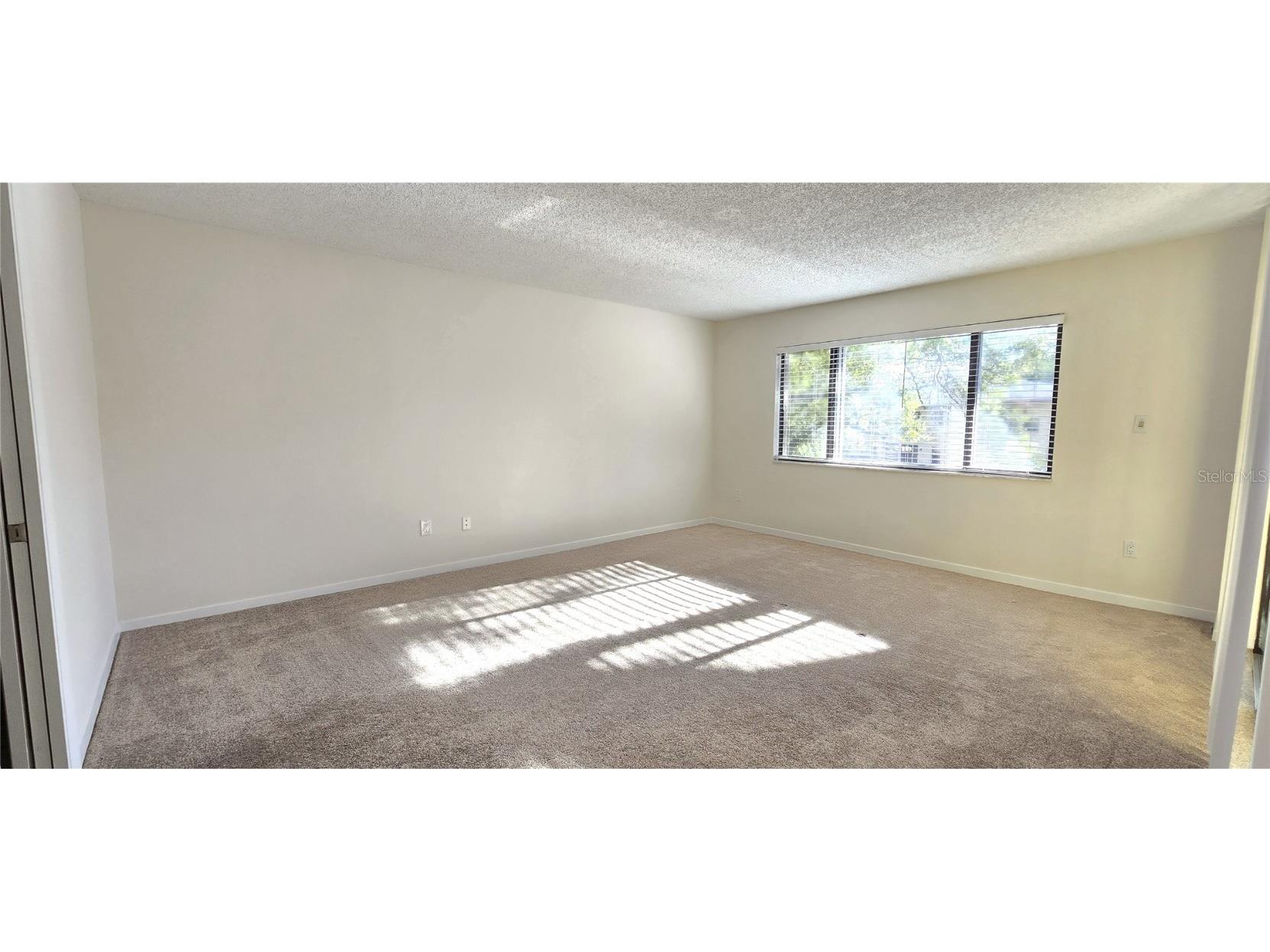 3076 Eastland Boulevard #106 Clearwater FL 33761 TB8320591 image14