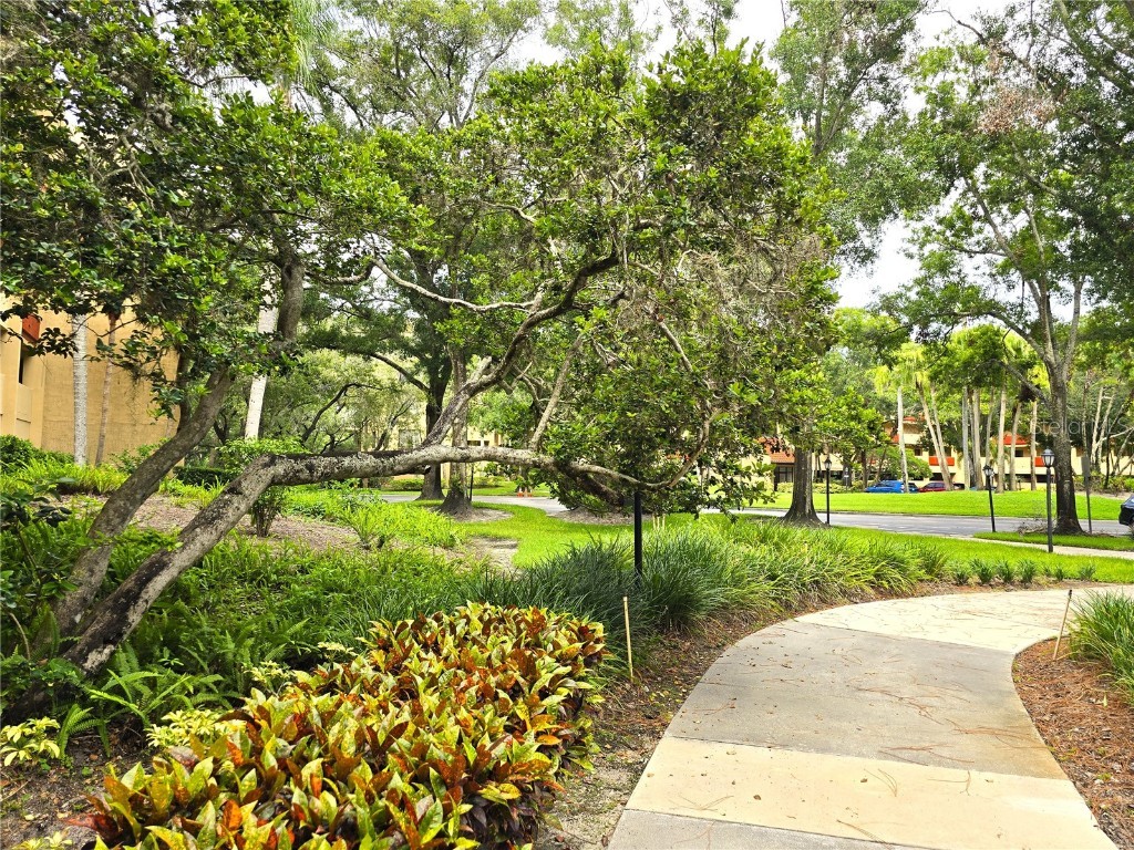 3076 Eastland Boulevard #106 Clearwater FL 33761 TB8320591 image40