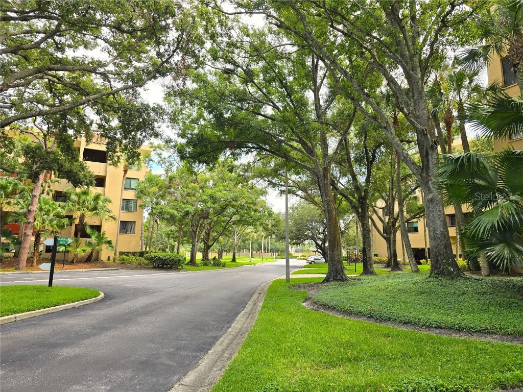 3076 Eastland Boulevard #106 Clearwater FL 33761 TB8320591 image5