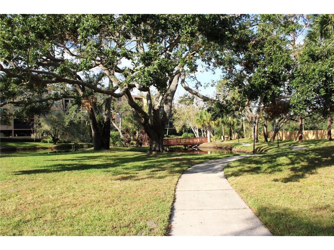 3076 Eastland Boulevard #106 Clearwater FL 33761 TB8320591 image52