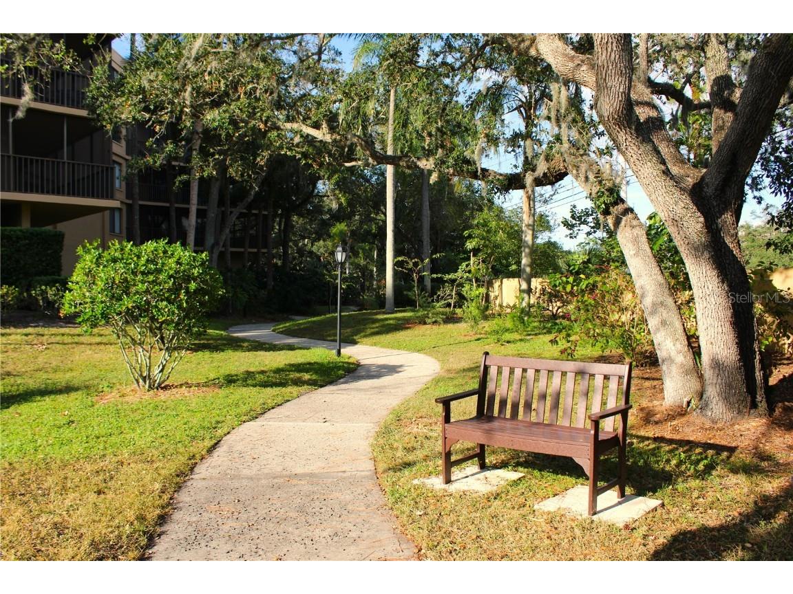 3076 Eastland Boulevard #106 Clearwater FL 33761 TB8320591 image53