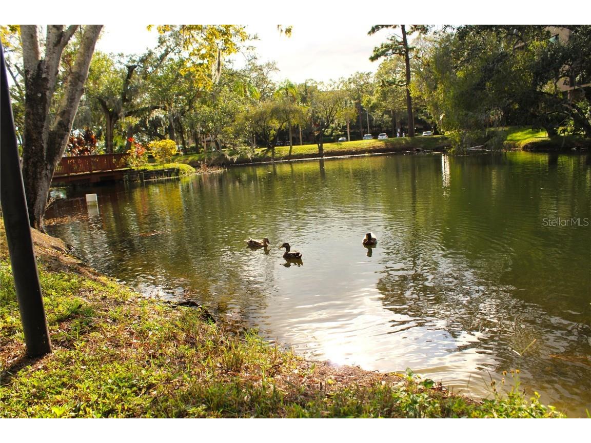 3076 Eastland Boulevard #106 Clearwater FL 33761 TB8320591 image54