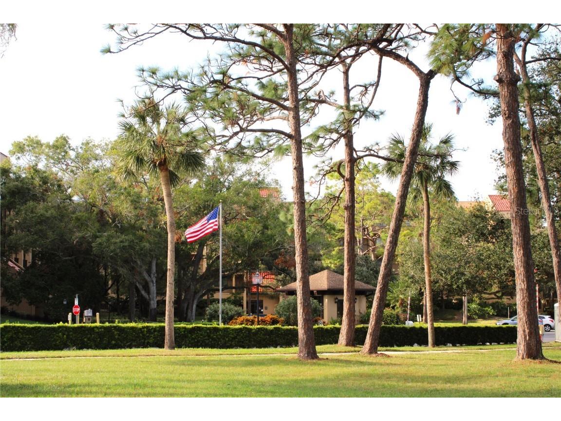 3076 Eastland Boulevard #106 Clearwater FL 33761 TB8320591 image56