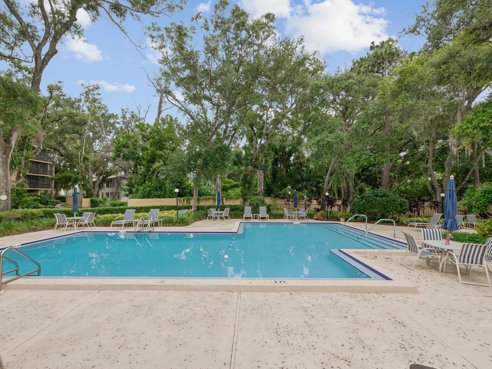 3076 Eastland Boulevard #210 Clearwater FL 33761 TB8489641 image39