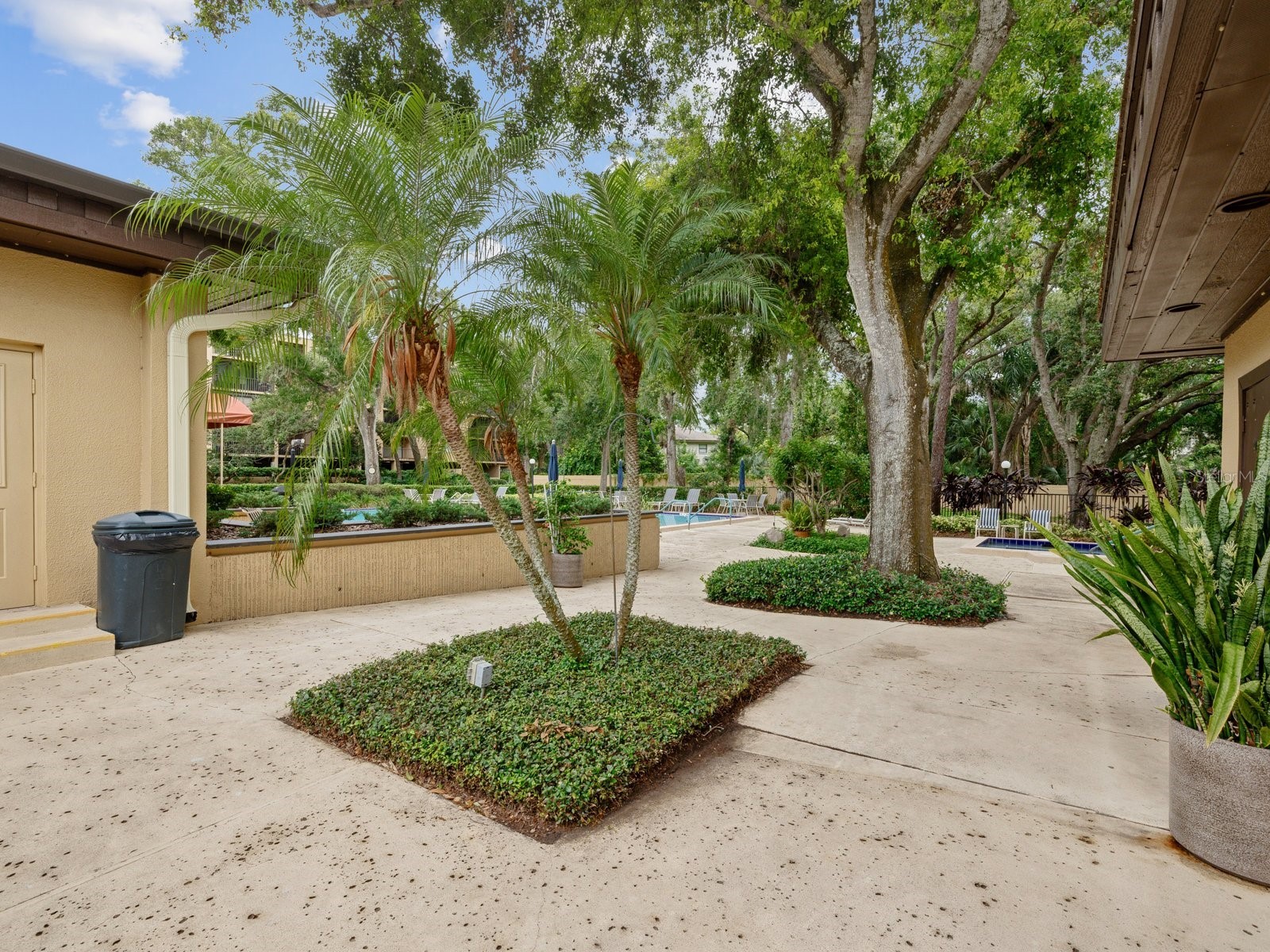 3076 Eastland Boulevard #210 Clearwater FL 33761 TB8489641 image40