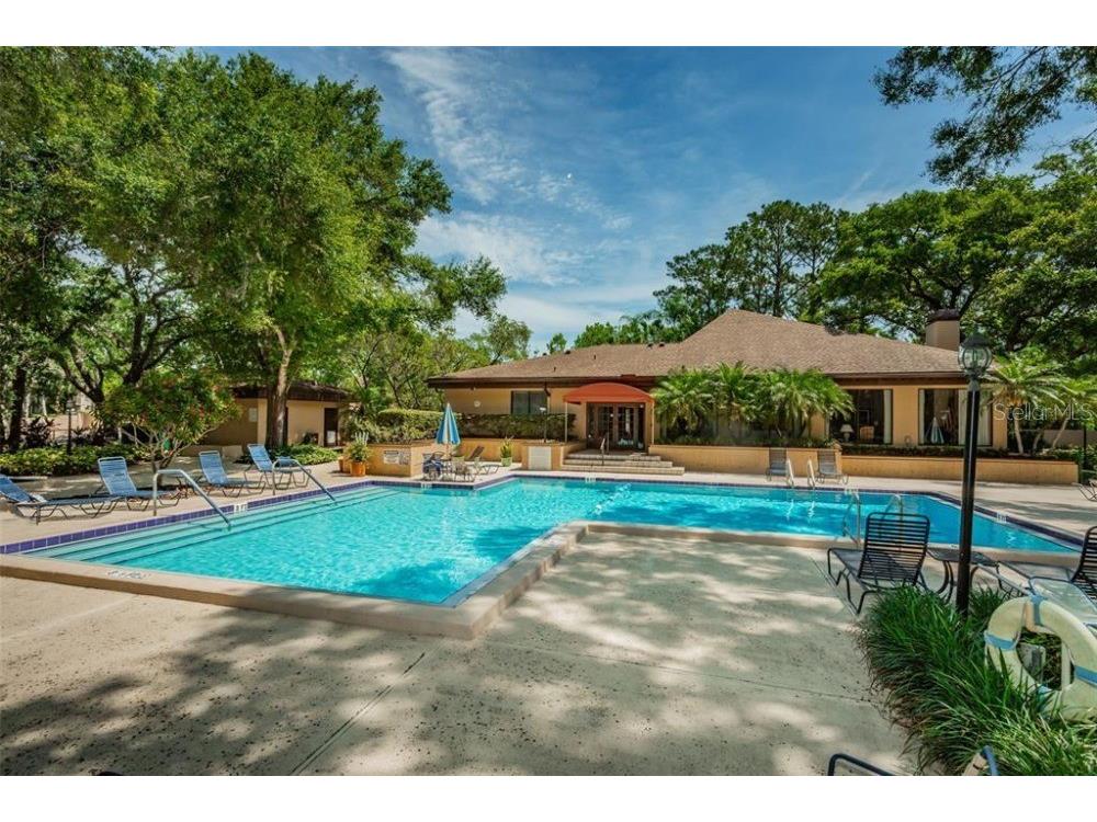 3076 Eastland Boulevard #210 Clearwater FL 33761 TB8489641 image5