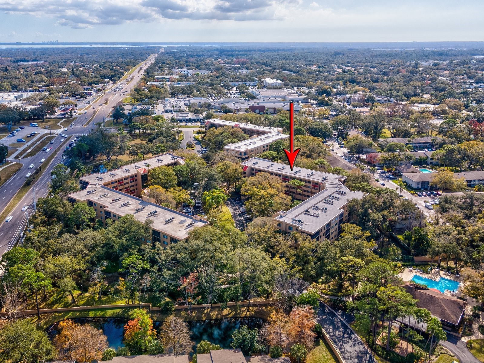 3076 Eastland Boulevard #210 Clearwater FL 33761 TB8489641 image57