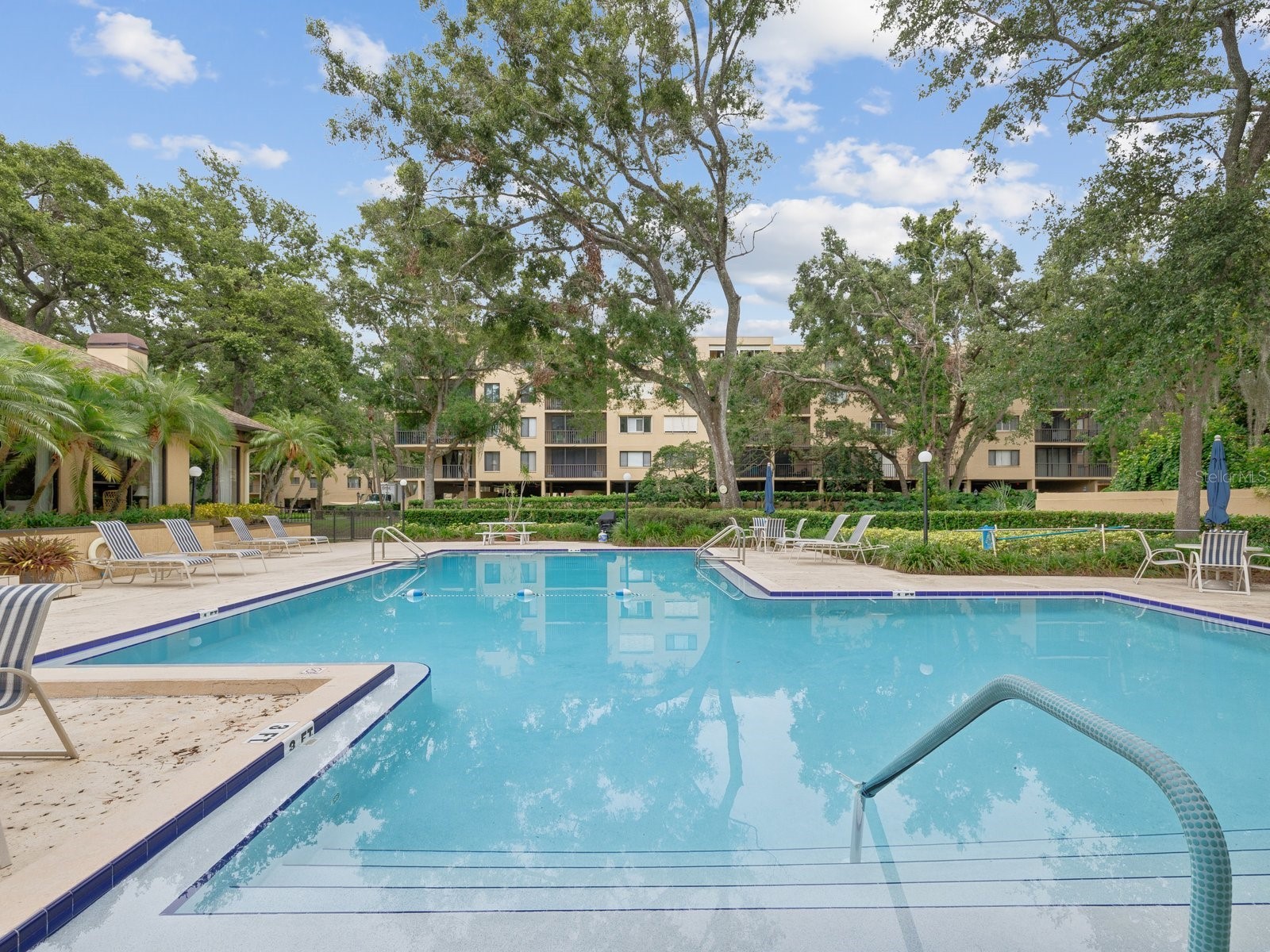 3076 Eastland Boulevard #210 Clearwater FL 33761 TB8489641 image6