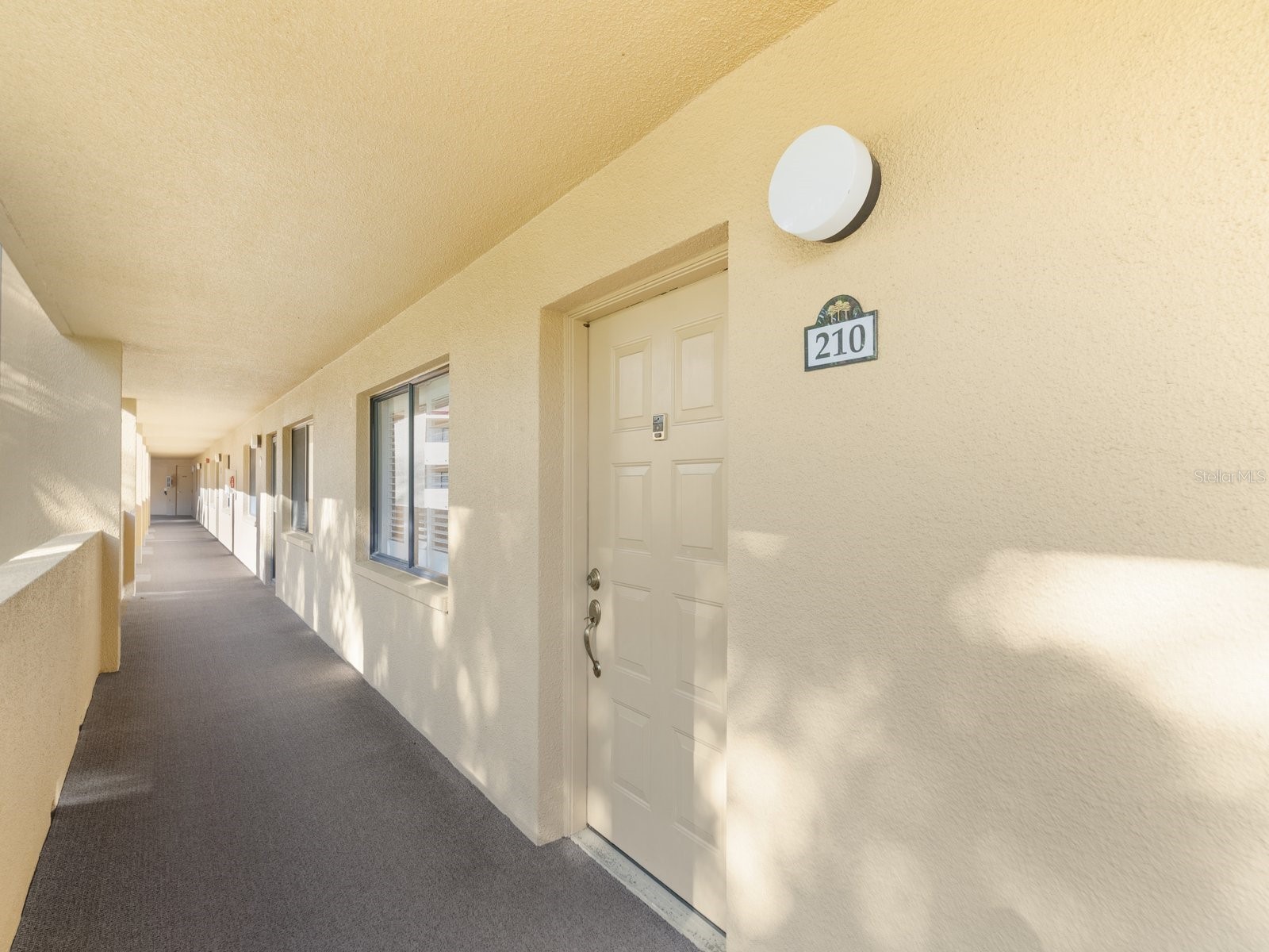 3076 Eastland Boulevard #210 Clearwater FL 33761 TB8489641 image7