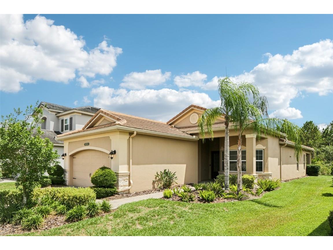 30764 Lindentree Drive Wesley Chapel FL 33543 TB8390663 image1