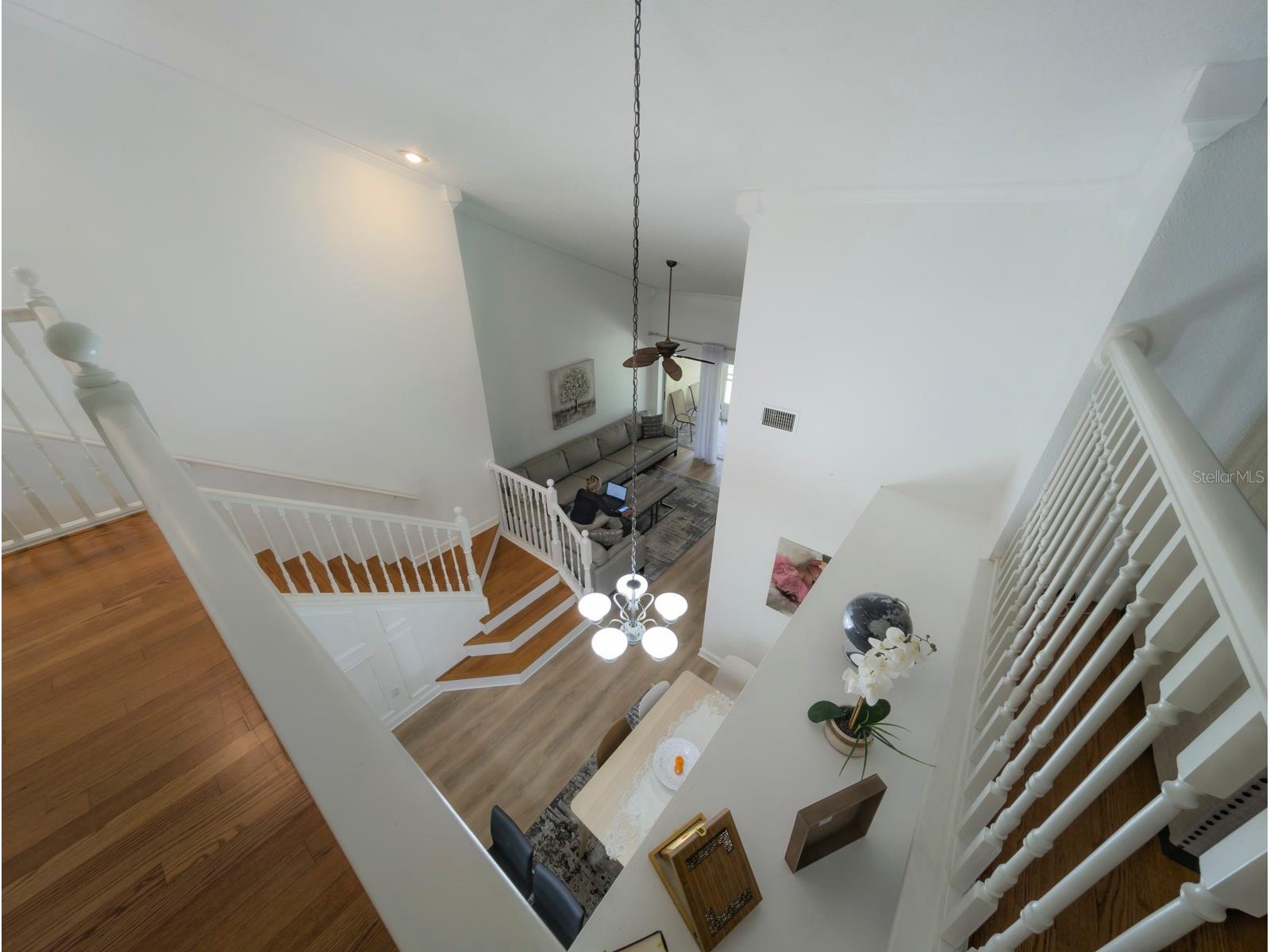 3077 Branch Drive Clearwater FL 33760 TB8483181 image31