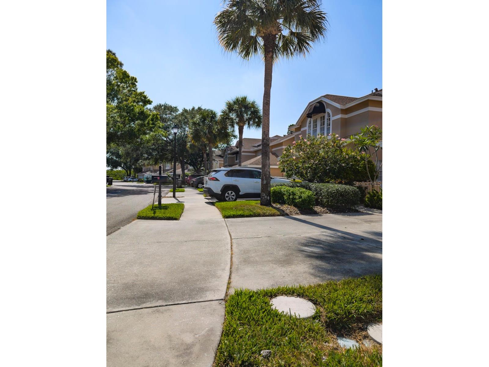 3077 Branch Drive Clearwater FL 33760 TB8483181 image45