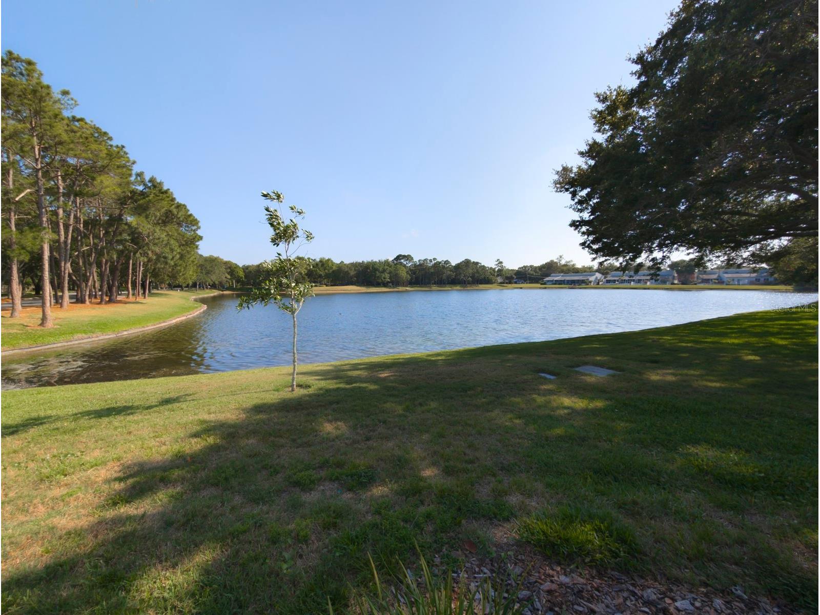 3077 Branch Drive Clearwater FL 33760 TB8483181 image53