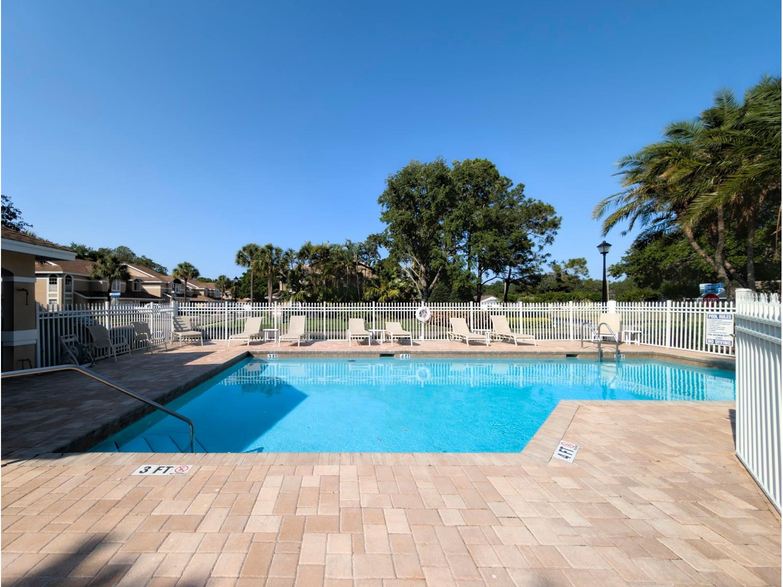 3077 Branch Drive Clearwater FL 33760 TB8483181 image55