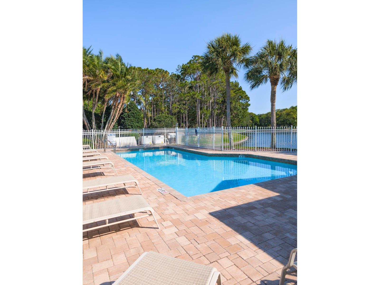 3077 Branch Drive Clearwater FL 33760 TB8483181 image57