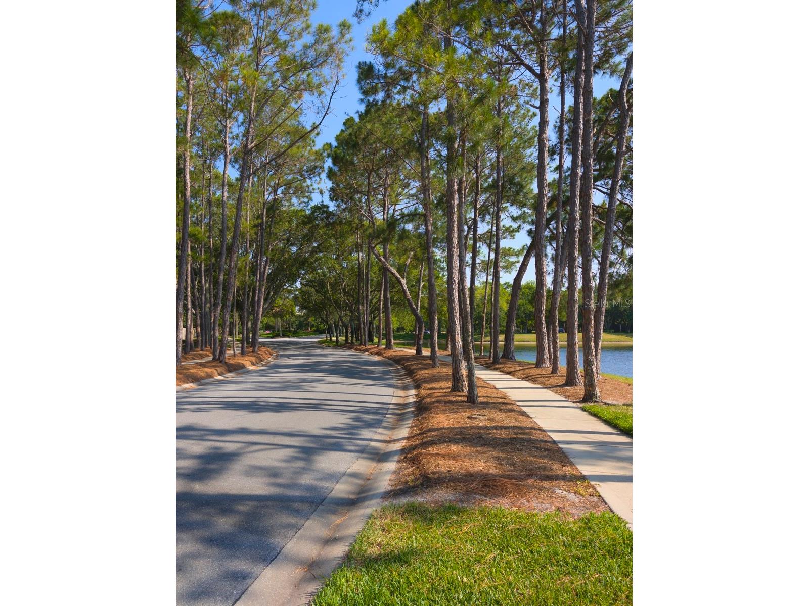 3077 Branch Drive Clearwater FL 33760 TB8483181 image59