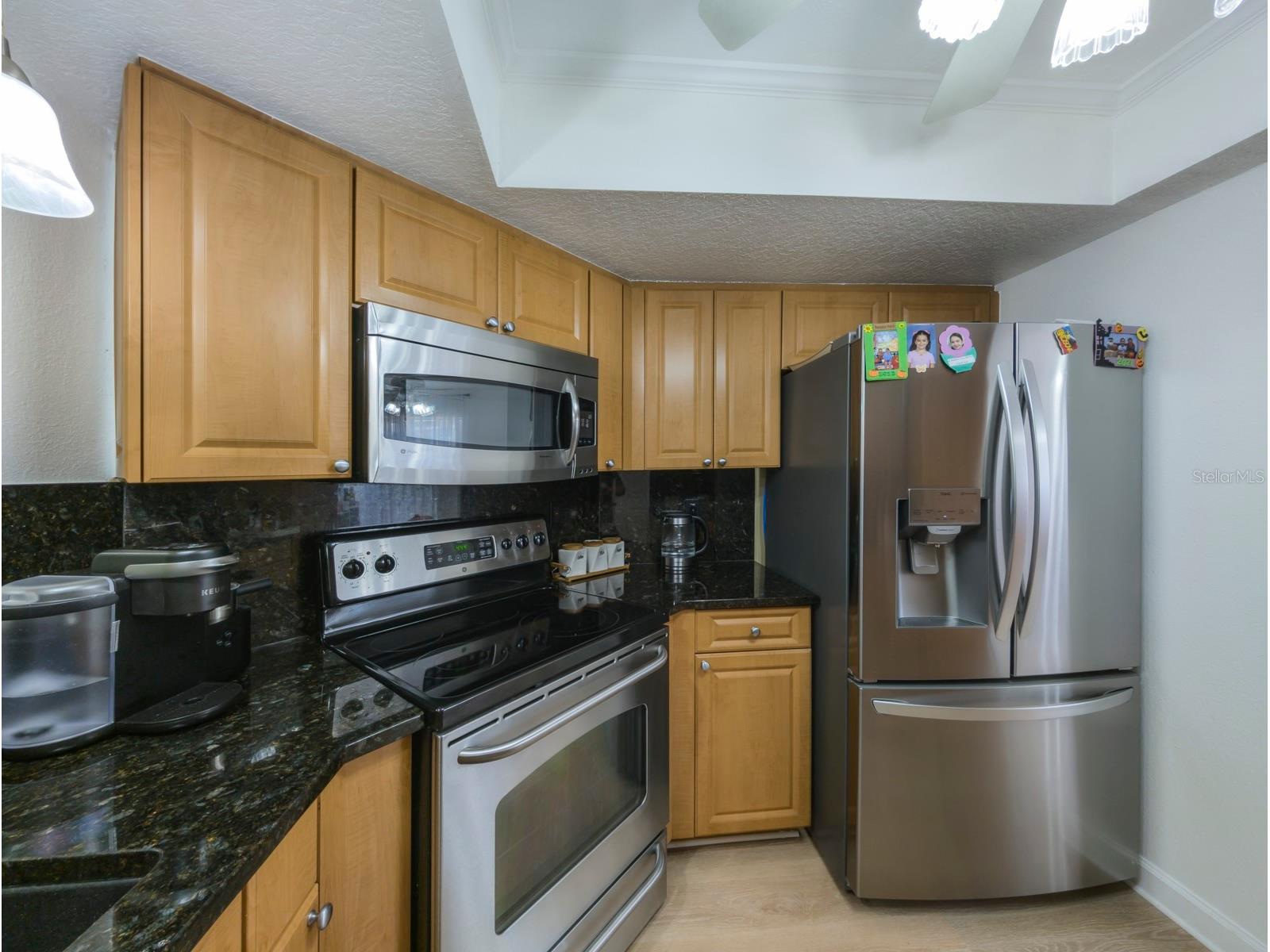 3077 Branch Drive Clearwater FL 33760 TB8483181 image6