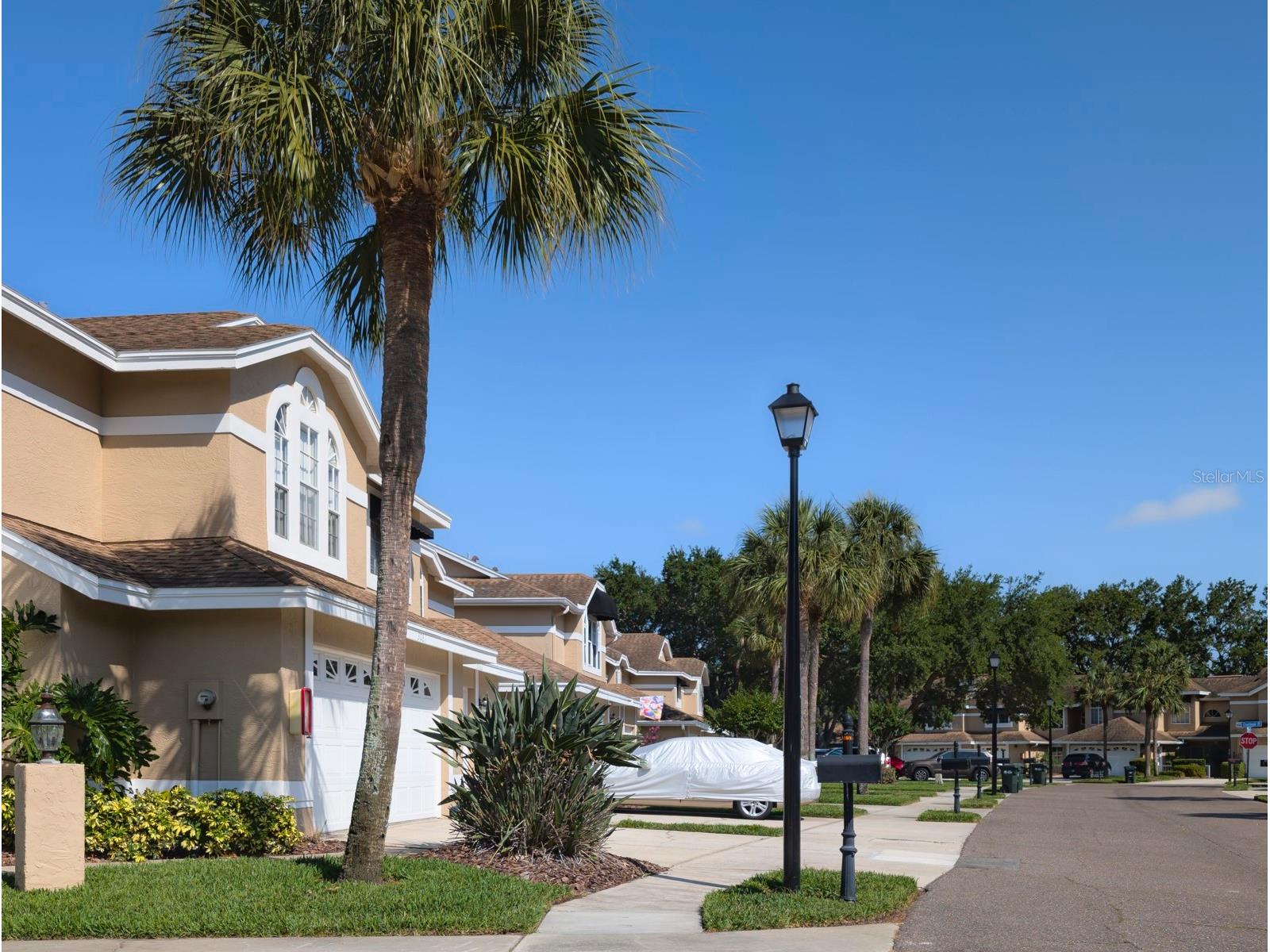 3077 Branch Drive Clearwater FL 33760 TB8483181 image60