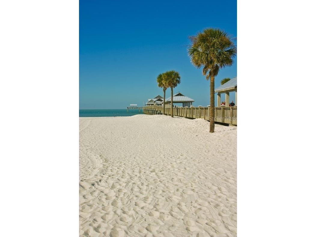 3077 Branch Drive Clearwater FL 33760 TB8483181 image62
