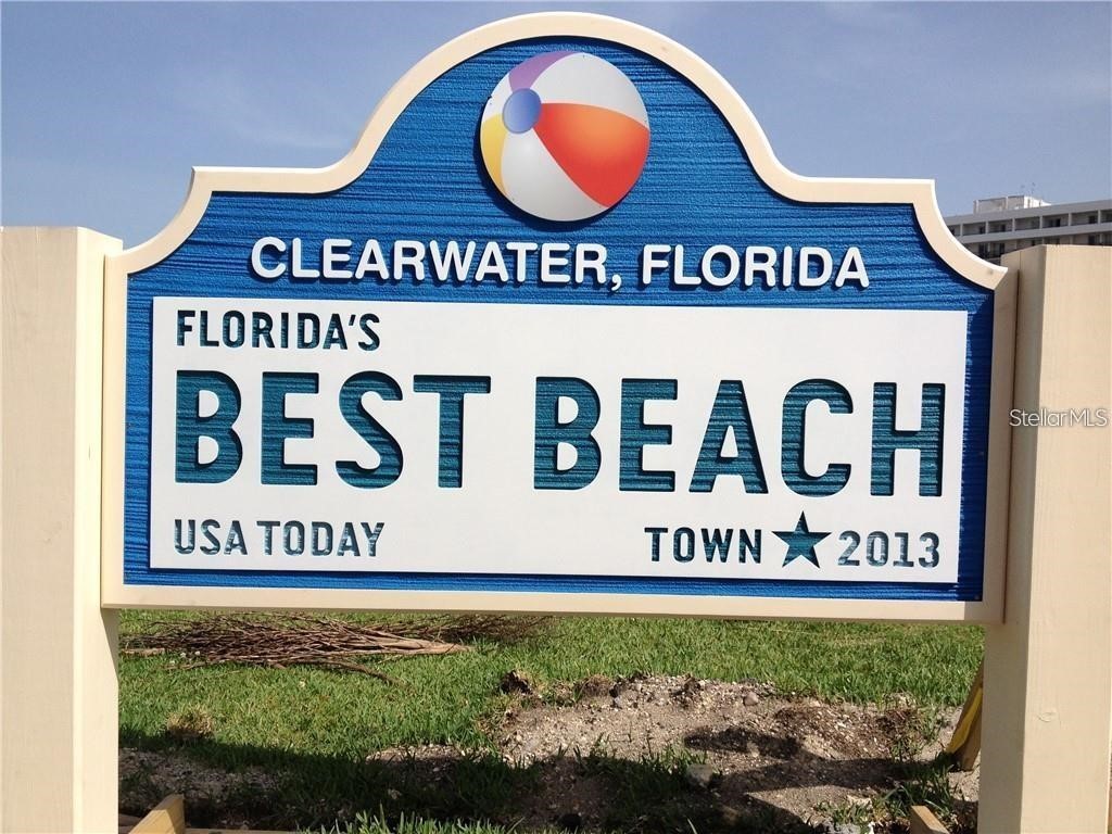 3077 Branch Drive Clearwater FL 33760 TB8483181 image63