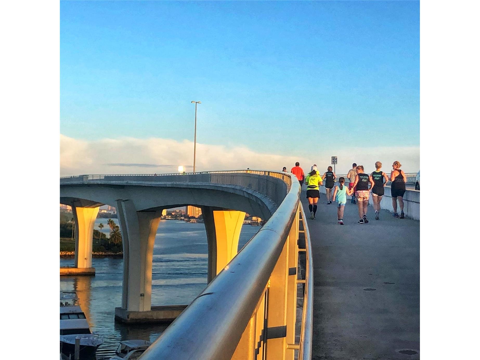 3077 Branch Drive Clearwater FL 33760 TB8483181 image64