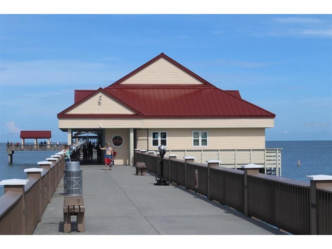 3077 Branch Drive Clearwater FL 33760 TB8483181 image65