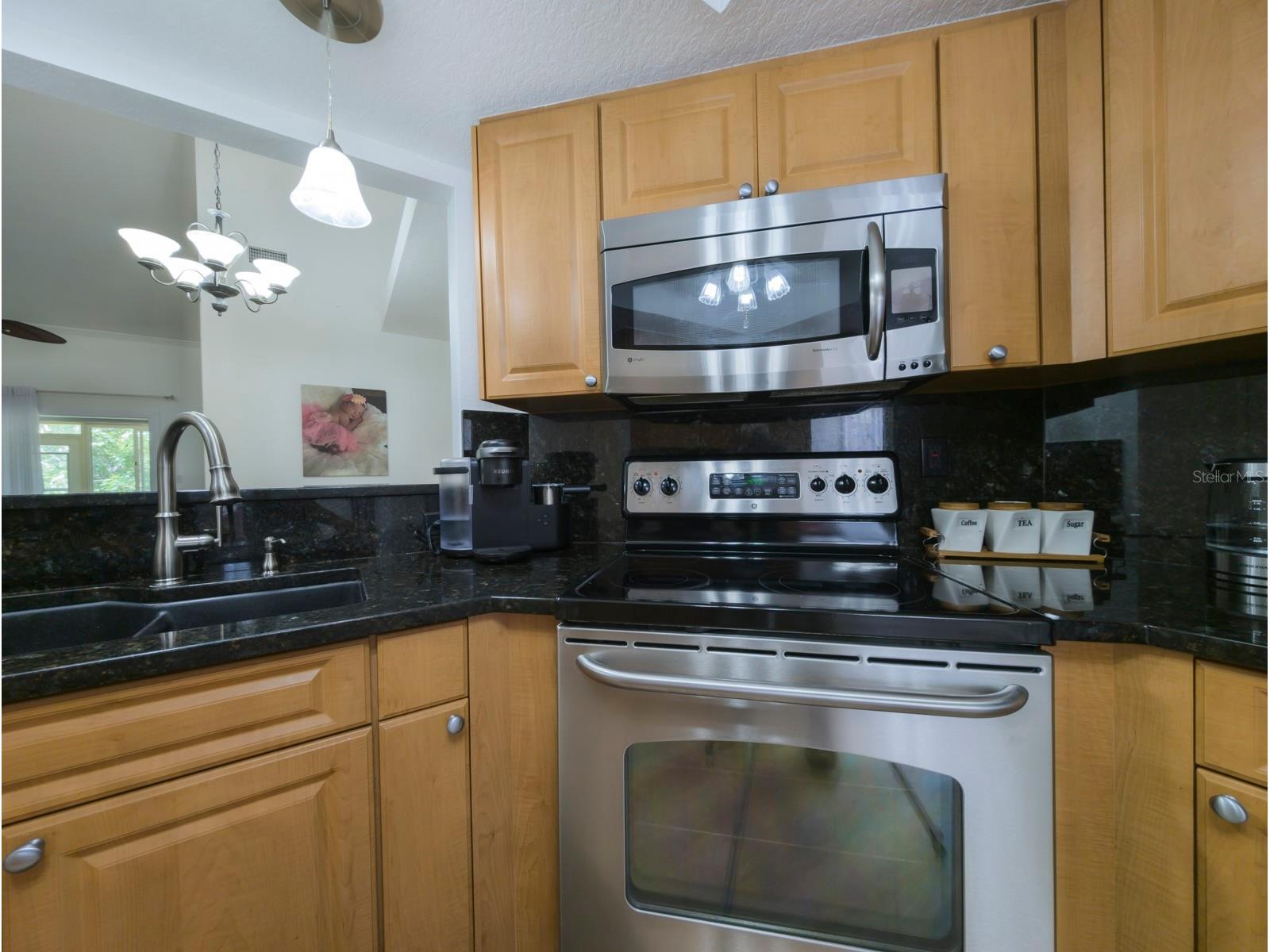 3077 Branch Drive Clearwater FL 33760 TB8483181 image7