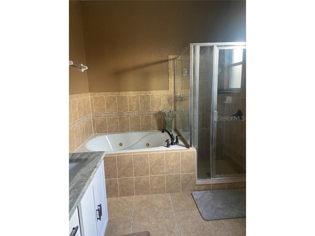 3077 Brenton Manor Loop Winter Haven FL 33881 S5115453 image15