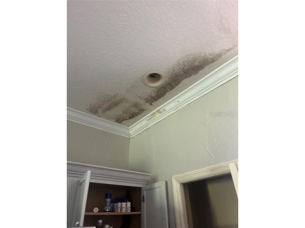 3077 Brenton Manor Loop Winter Haven FL 33881 S5115453 image5