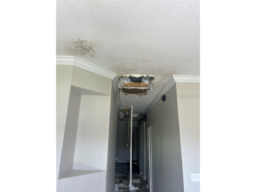 3077 Brenton Manor Loop Winter Haven FL 33881 S5115453 image6