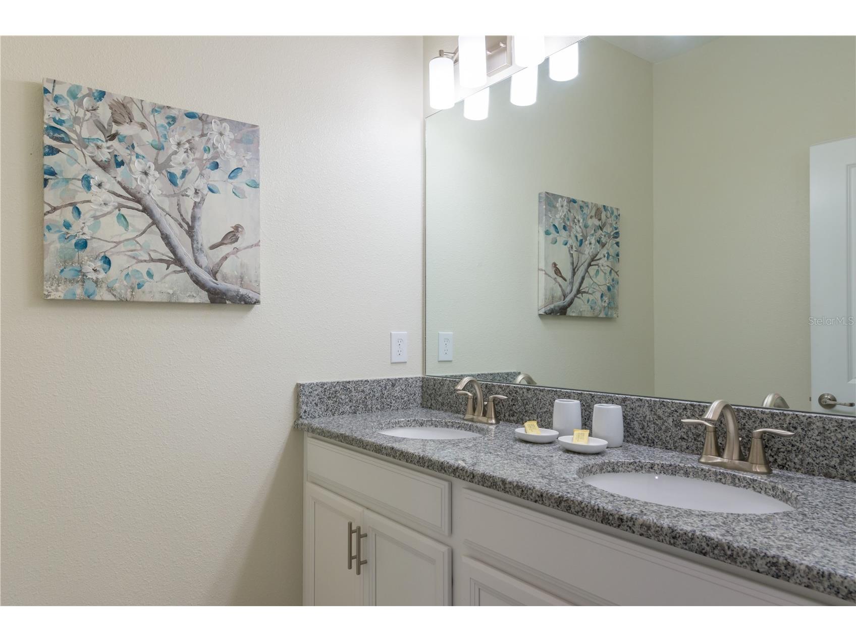 3077 Juliet Drive Kissimmee FL 34746 O6399955 image11