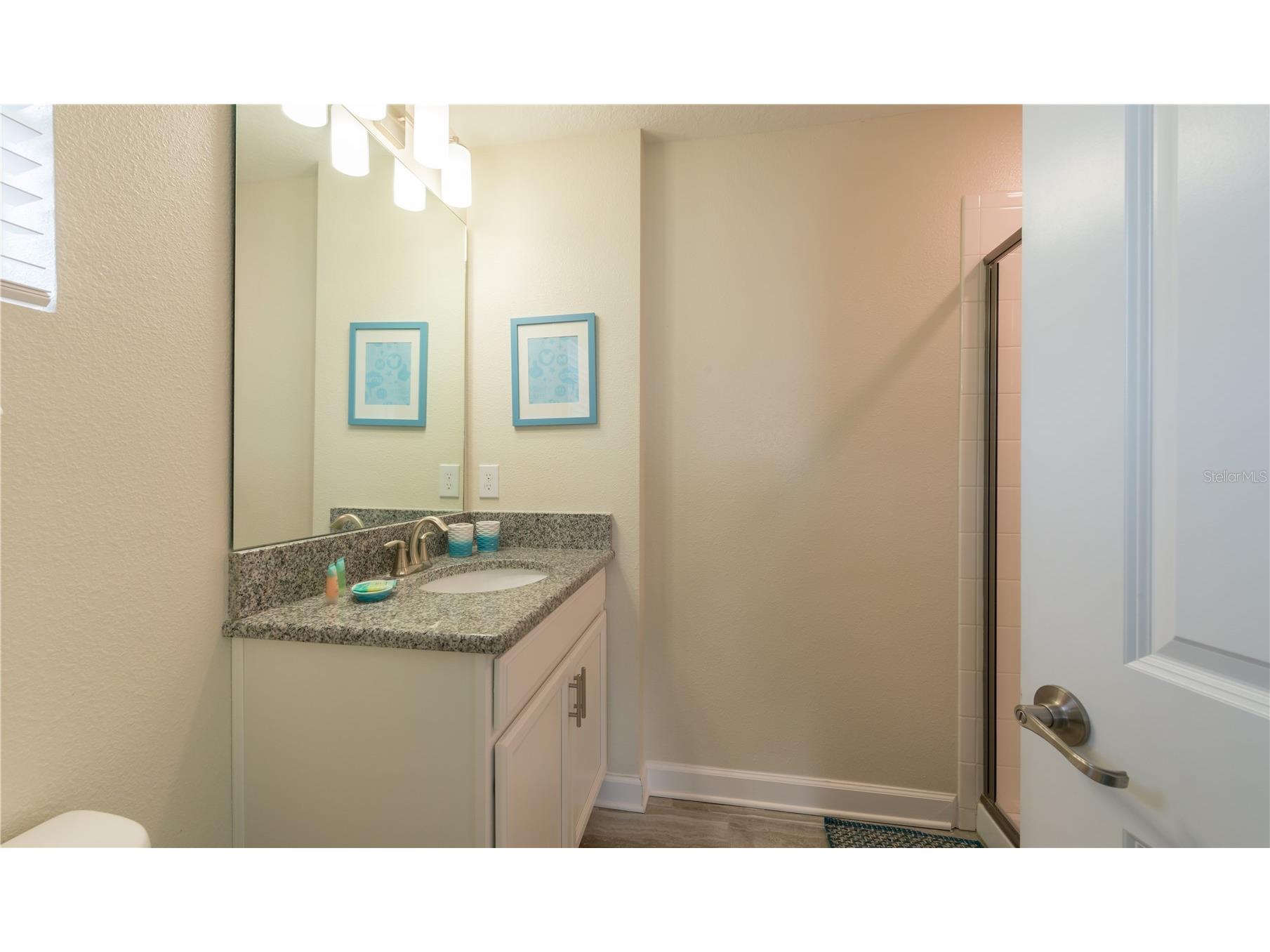 3077 Juliet Drive Kissimmee FL 34746 O6399955 image33