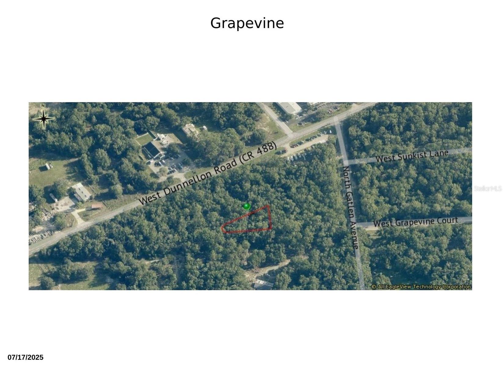 3077 W Grapevine Court Dunnellon FL 34433 W7882763 image1