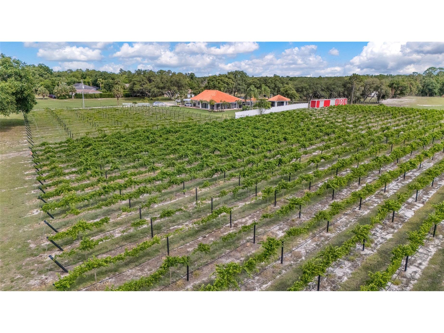3078 Blue Bonnet Lane Osteen FL 32764 O6415497 image49