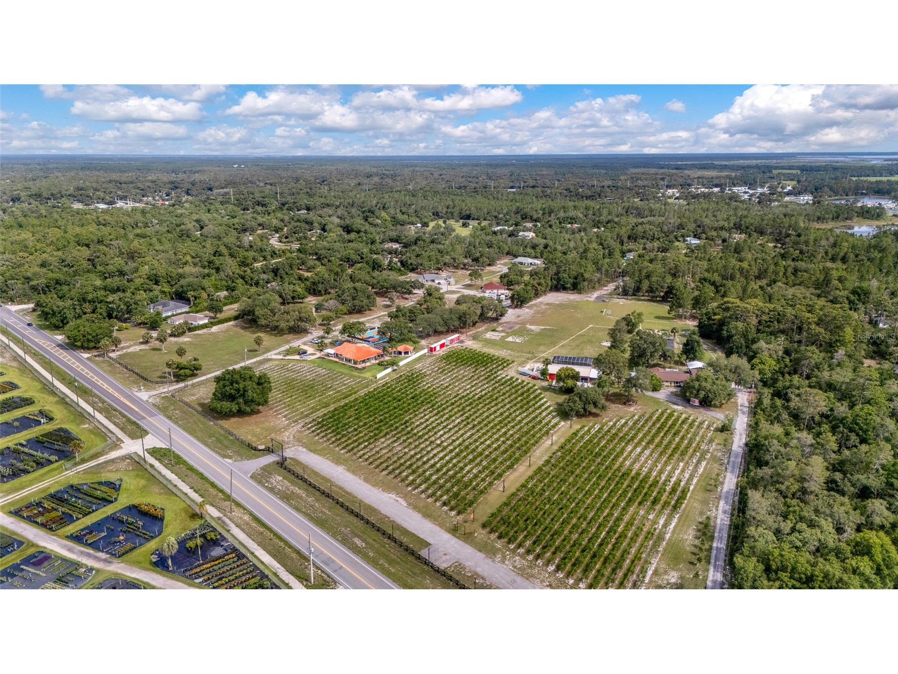 3078 Blue Bonnet Lane Osteen FL 32764 O6415497 image51