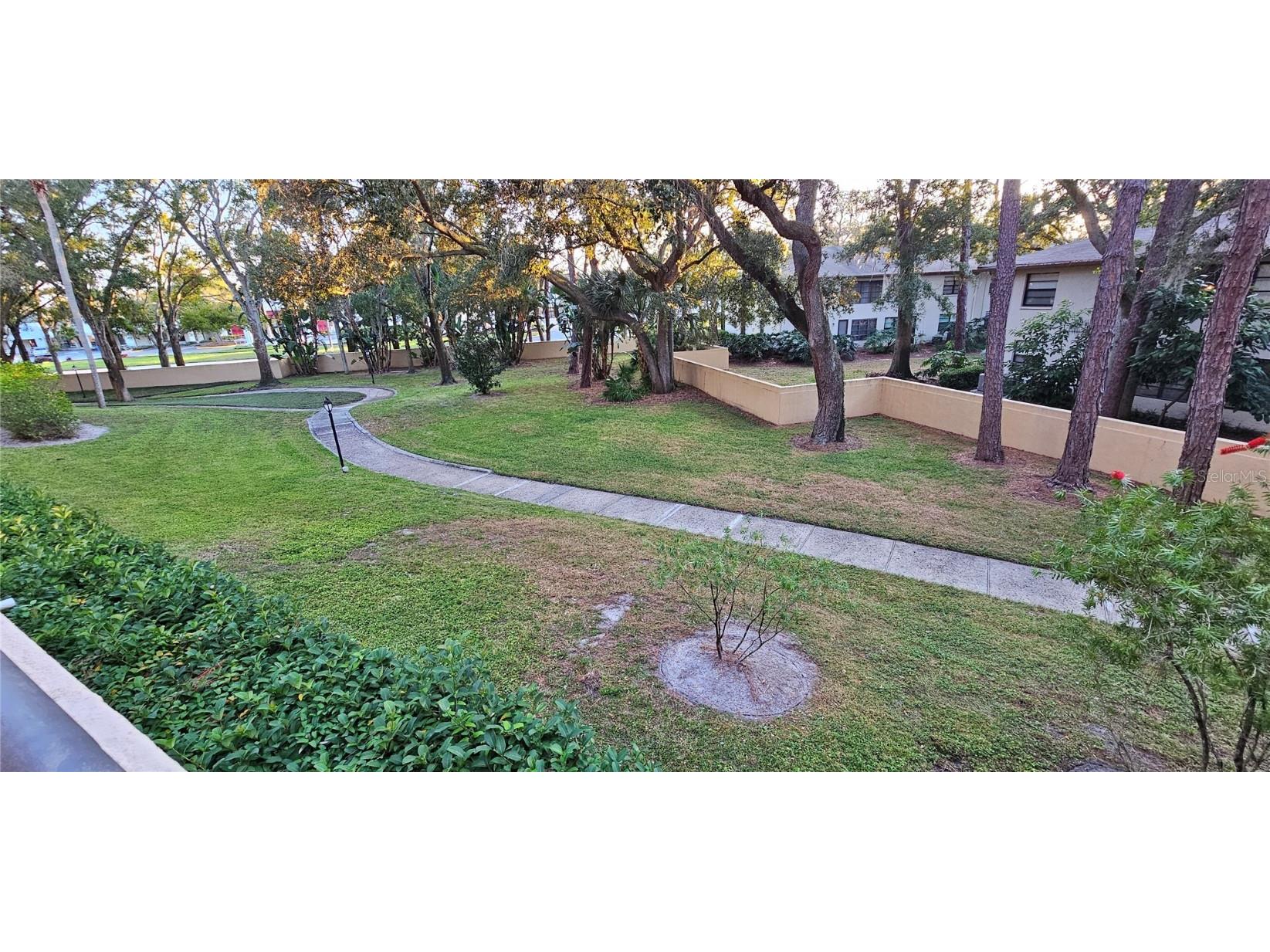 3078 Eastland Boulevard #107 Clearwater FL 33761 TB8442753 image24