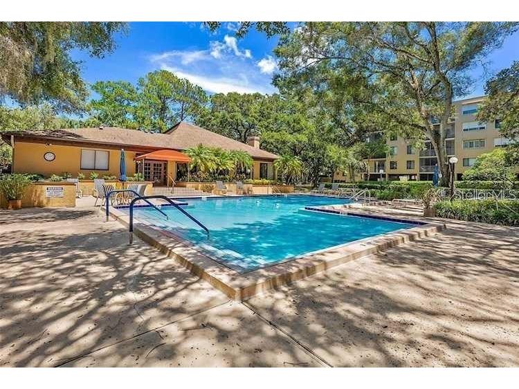 3078 Eastland Boulevard #107 Clearwater FL 33761 TB8442753 image51