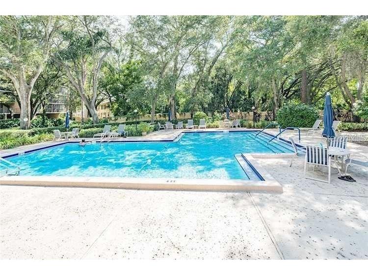 3078 Eastland Boulevard #107 Clearwater FL 33761 TB8442753 image53