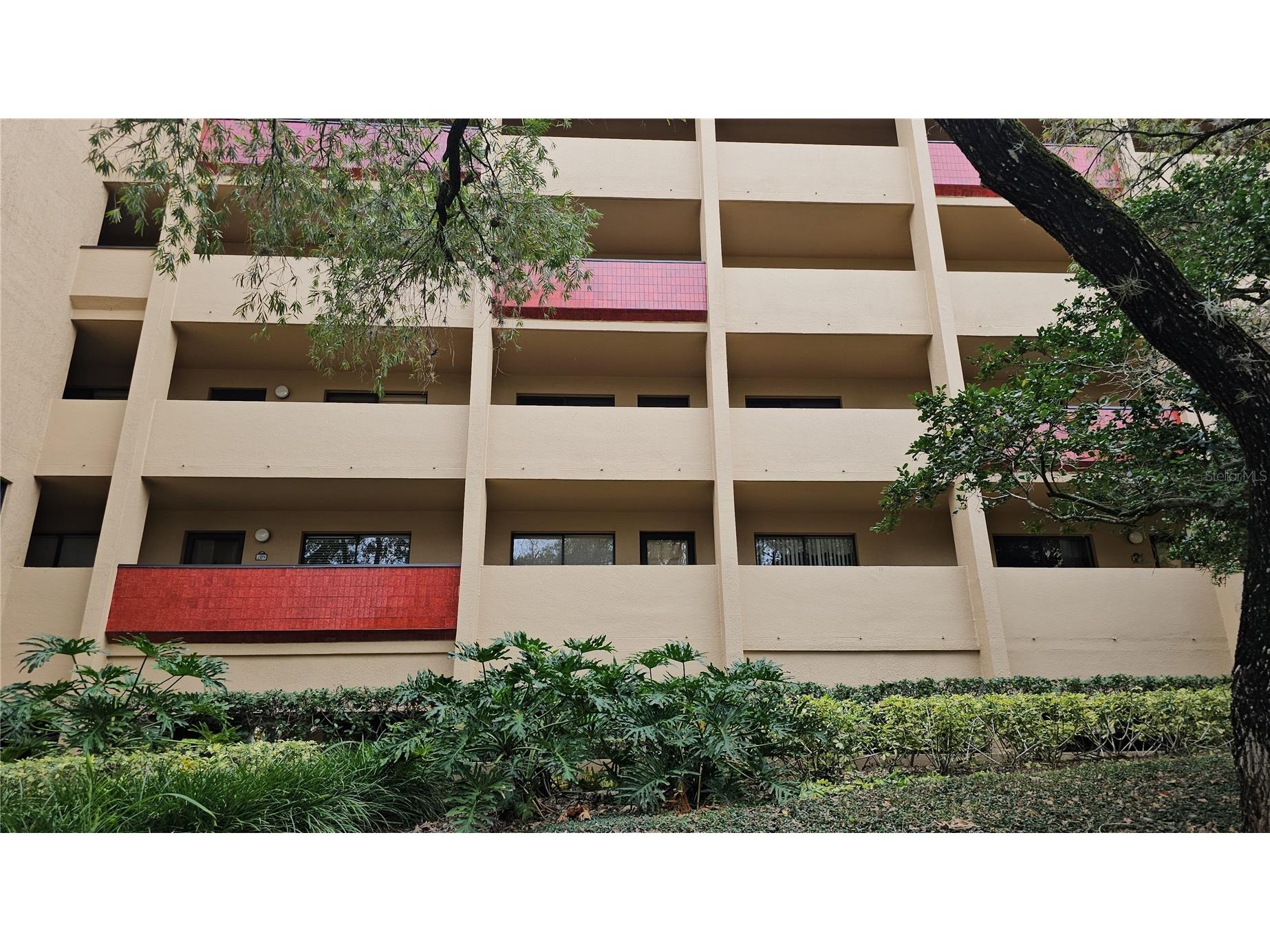 3078 Eastland Boulevard #107 Clearwater FL 33761 TB8442753 image56