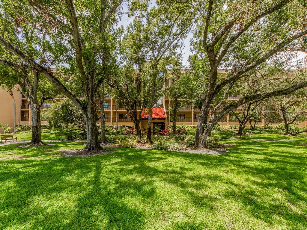 3078 Eastland Boulevard #205 Clearwater FL 33761 TB8398442 image1