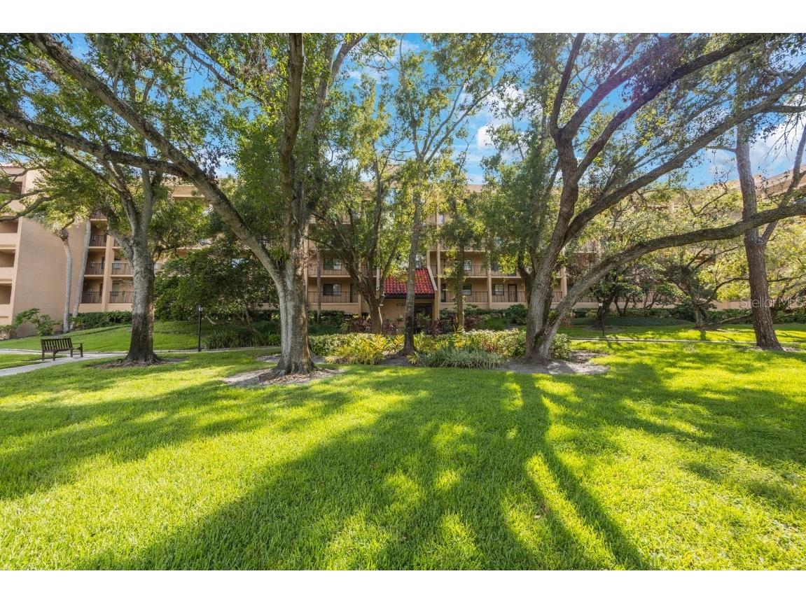 3078 Eastland Boulevard #304 Clearwater FL 33761 TB8415846 image1