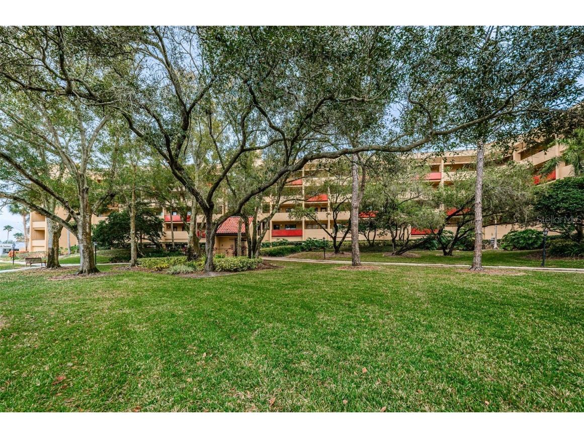 3078 Eastland Boulevard #305 Clearwater FL 33761 TB8307608 image1