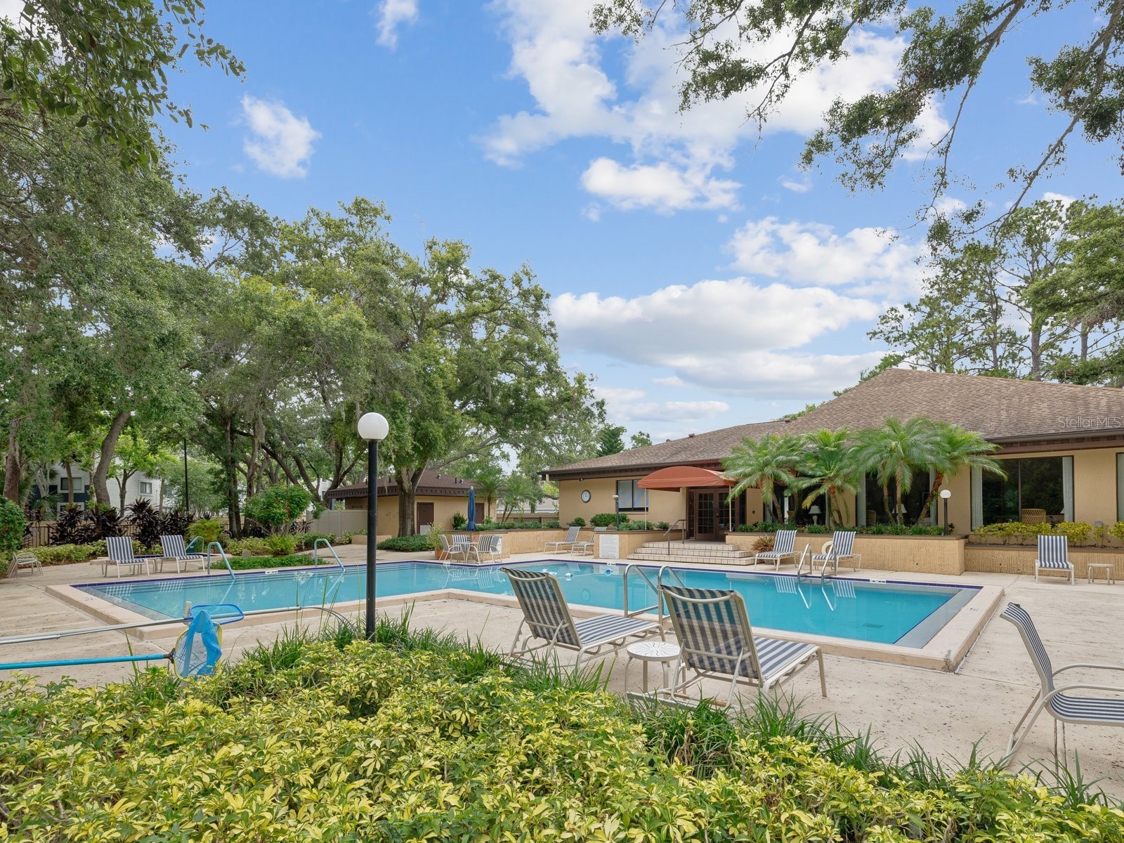 3078 Eastland Boulevard #309 Clearwater FL 33761 TB8496084 image39