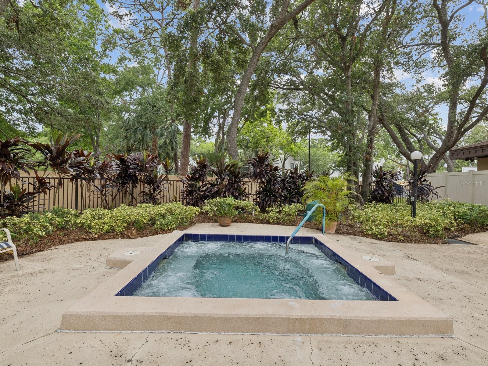 3078 Eastland Boulevard #309 Clearwater FL 33761 TB8496084 image46