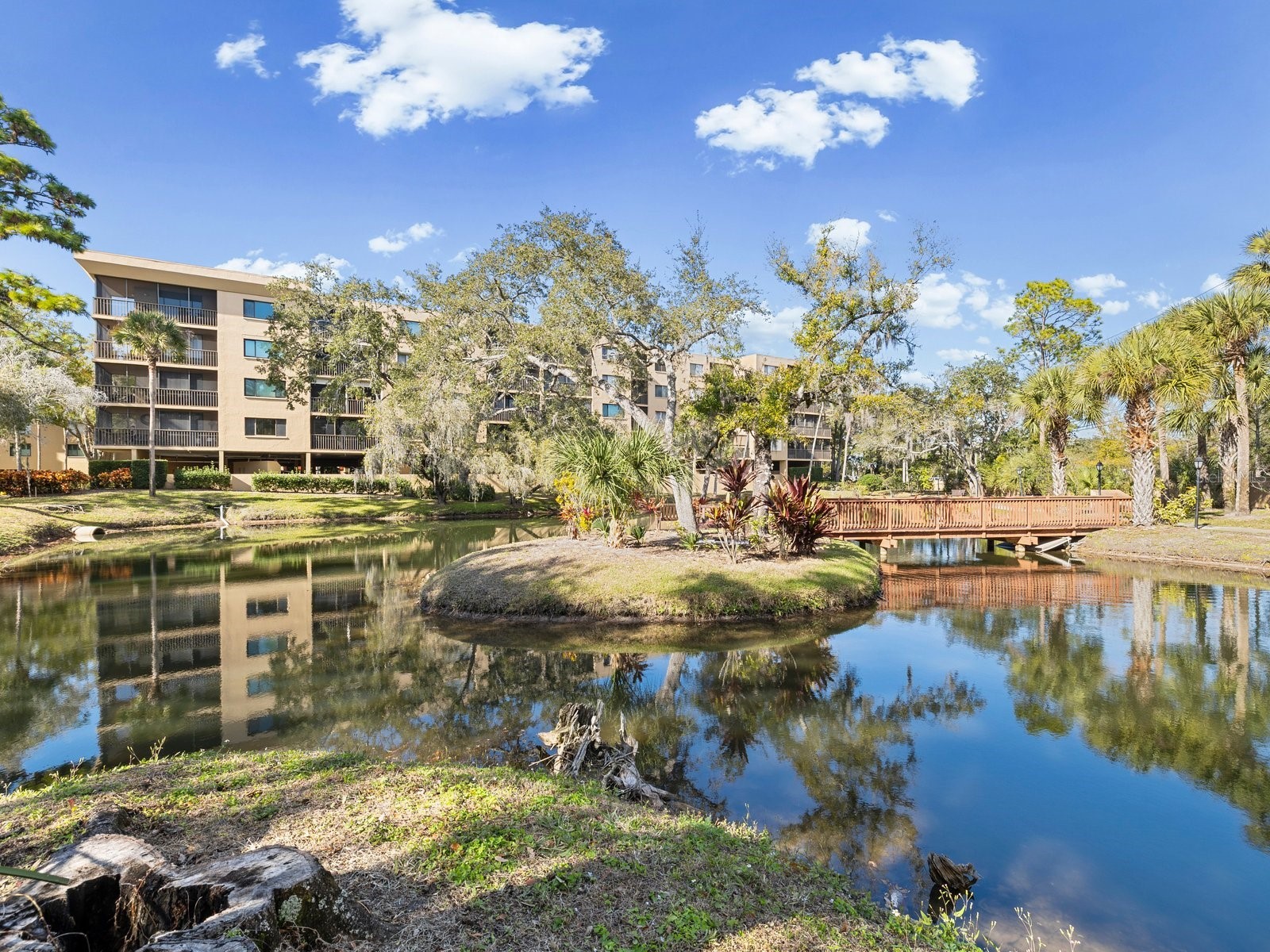3078 Eastland Boulevard #309 Clearwater FL 33761 TB8496084 image47