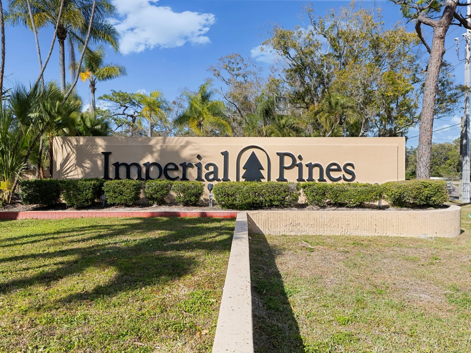 3078 Eastland Boulevard #309 Clearwater FL 33761 TB8496084 image49