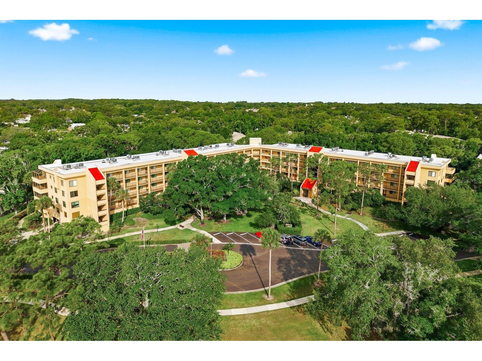 3078 Eastland Boulevard #401 Clearwater FL 33761 TB8508222 image1