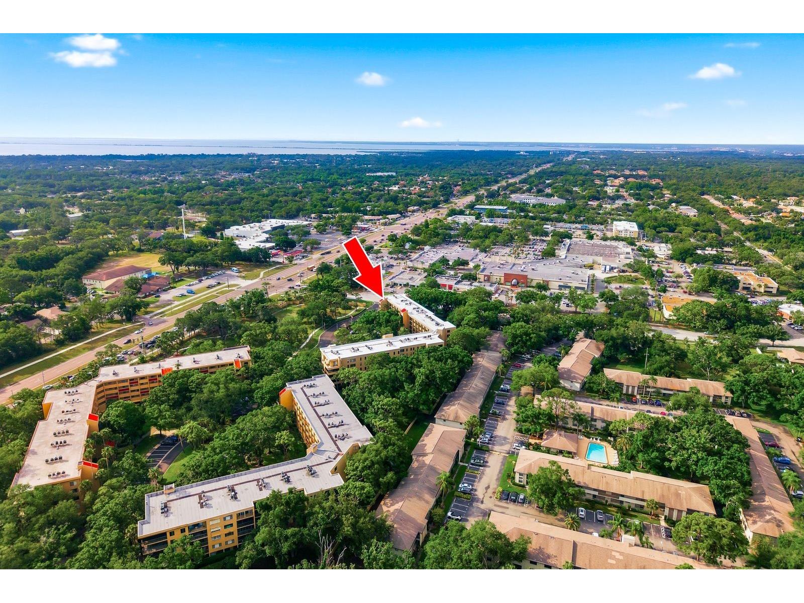 3078 Eastland Boulevard #401 Clearwater FL 33761 TB8508222 image2