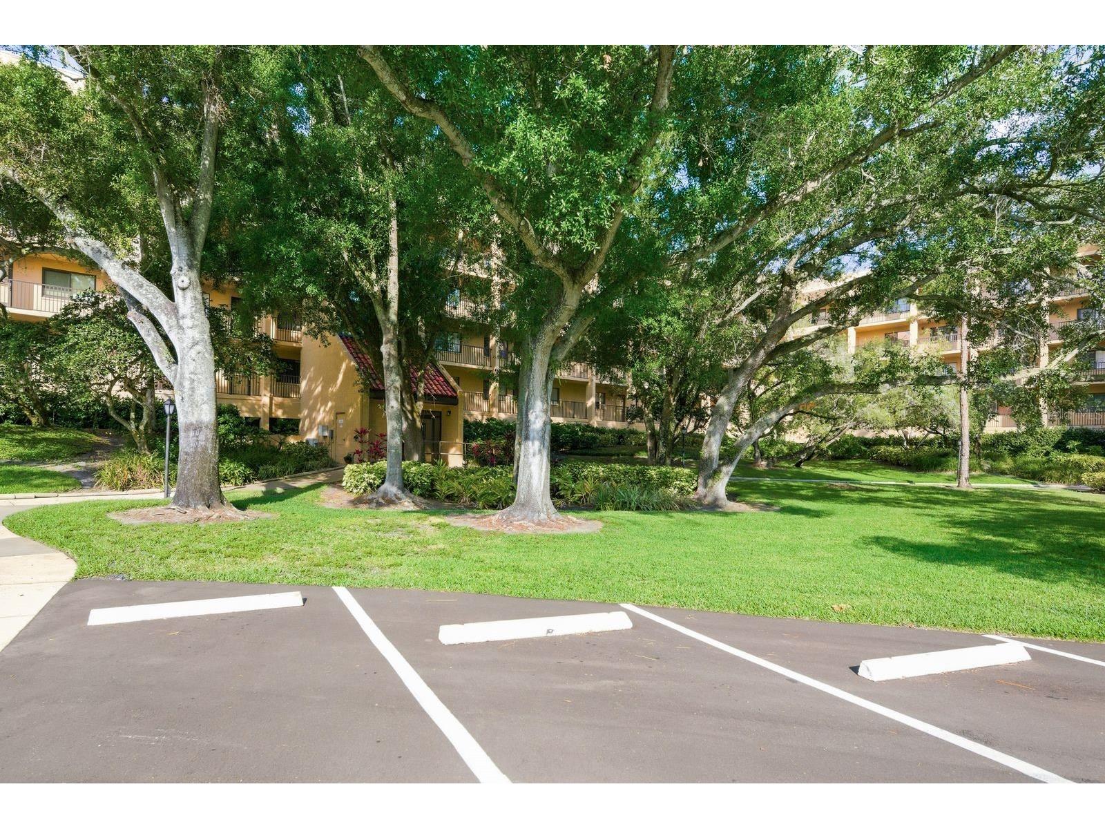 3078 Eastland Boulevard #401 Clearwater FL 33761 TB8508222 image31